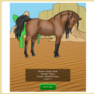Visit different areas of the wild to find different horses.